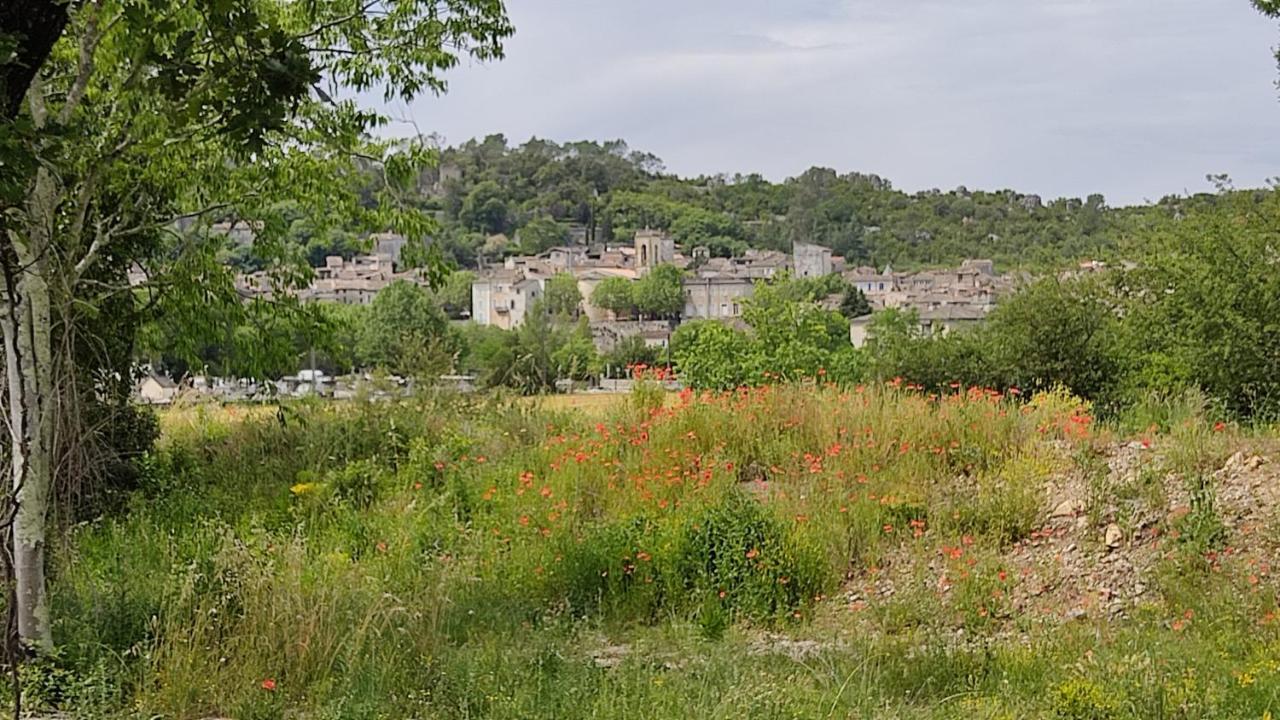 Charmant Logis Dans La Catiche De Loutre, Maison Medievale Sauve エクステリア 写真